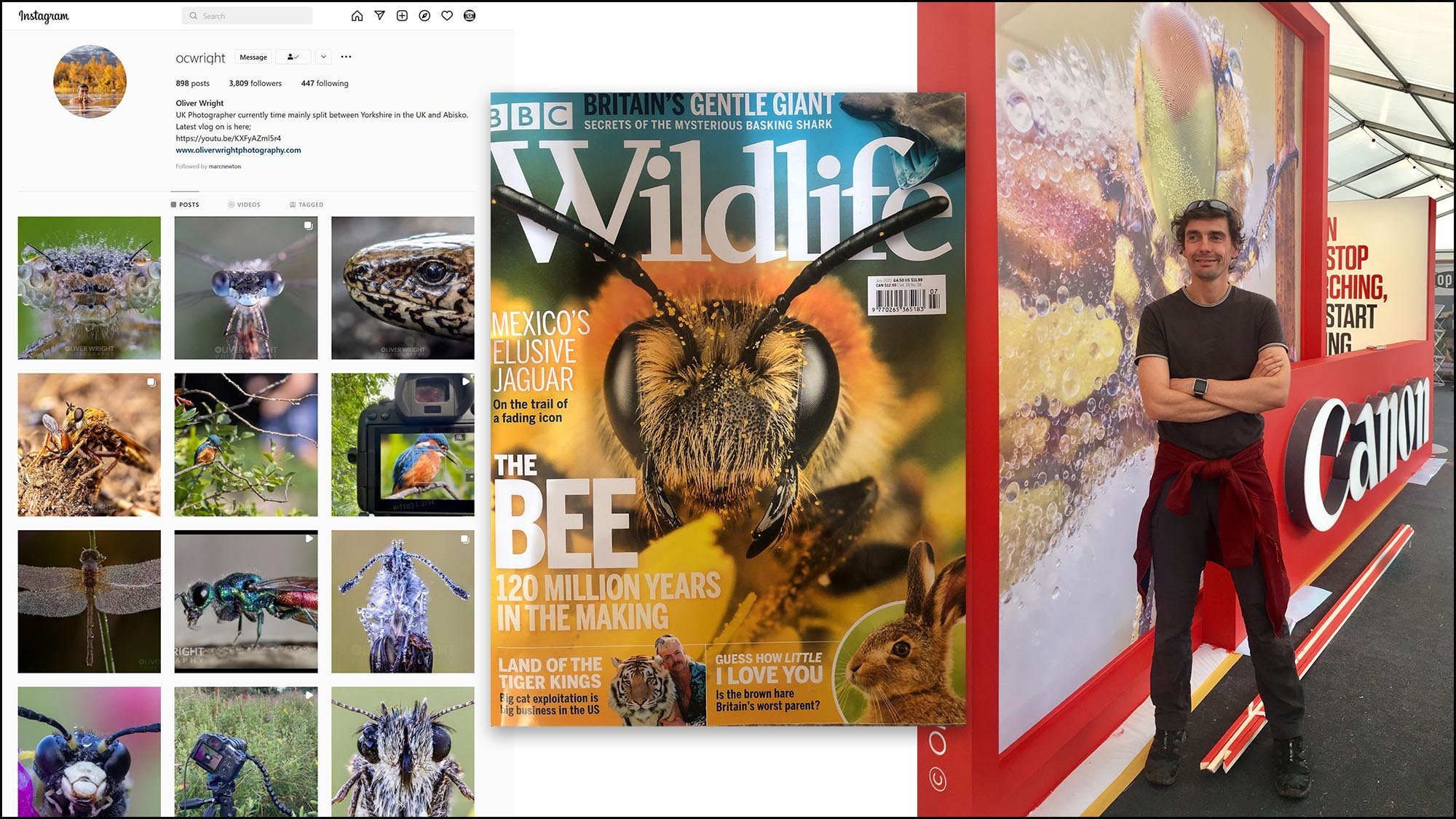 The business of macro photography