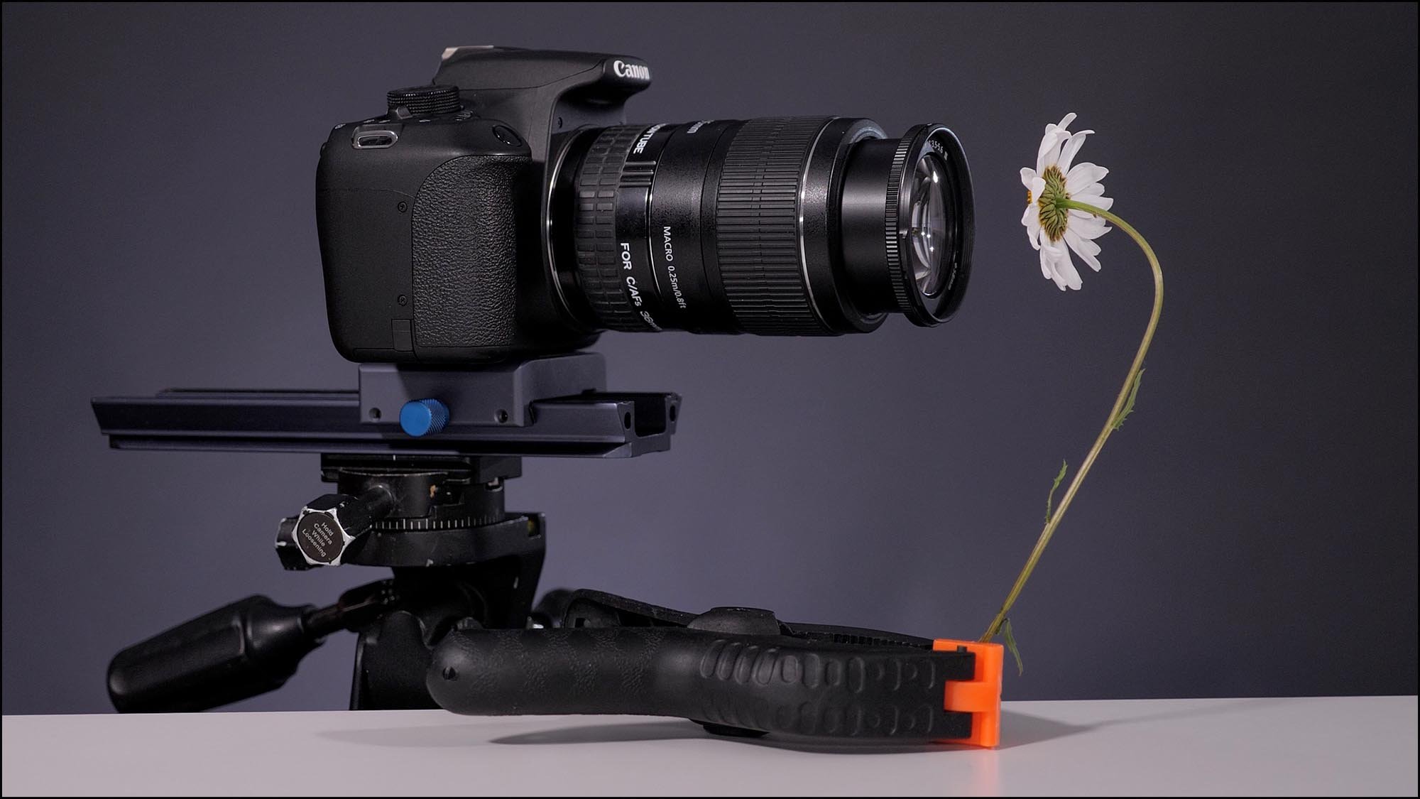 Camera on tripod taking macro photo of flower