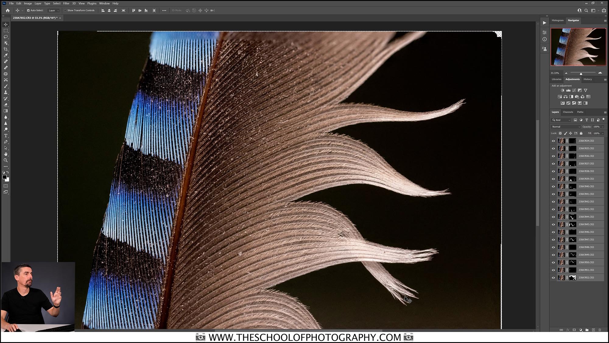 Macro photography of feather being edited in Photoshop