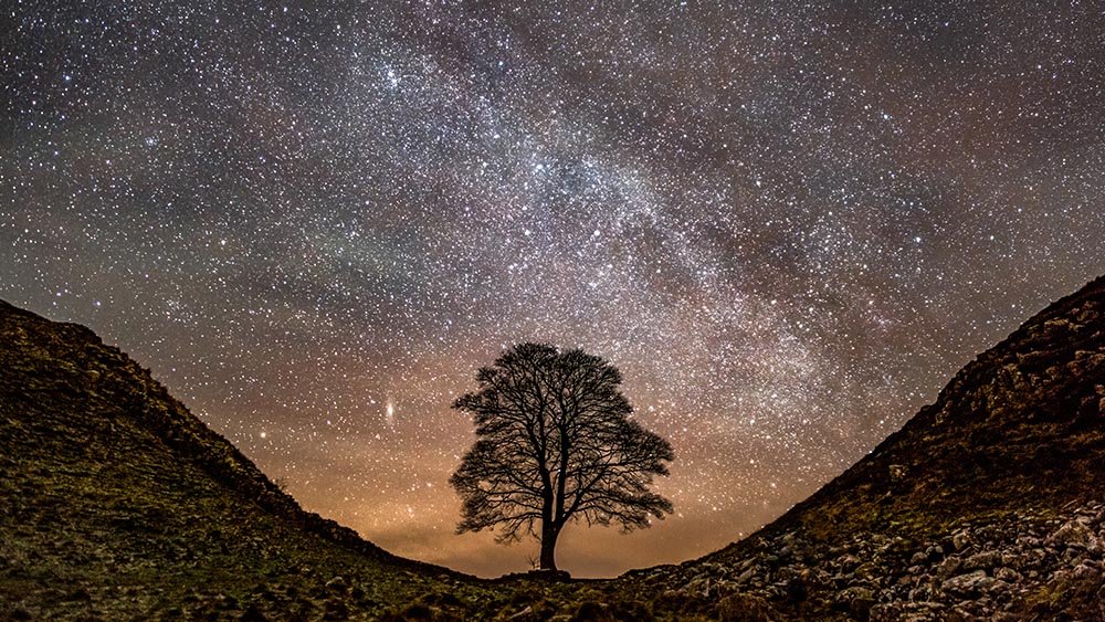 Astrophotography of Sycamore Gap tree under the breathtaking Milky Way night sky.