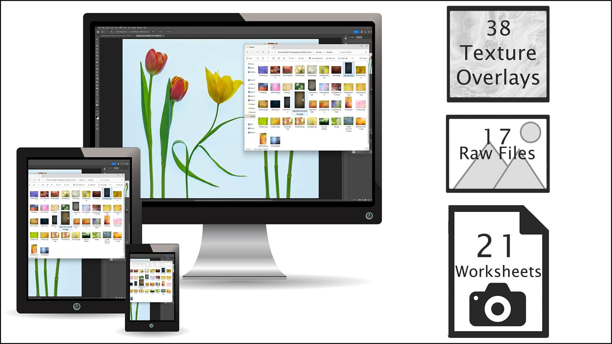 Flower photography course downloadable content including 38 texture overlays, 17 raw files, and 21 worksheets for students