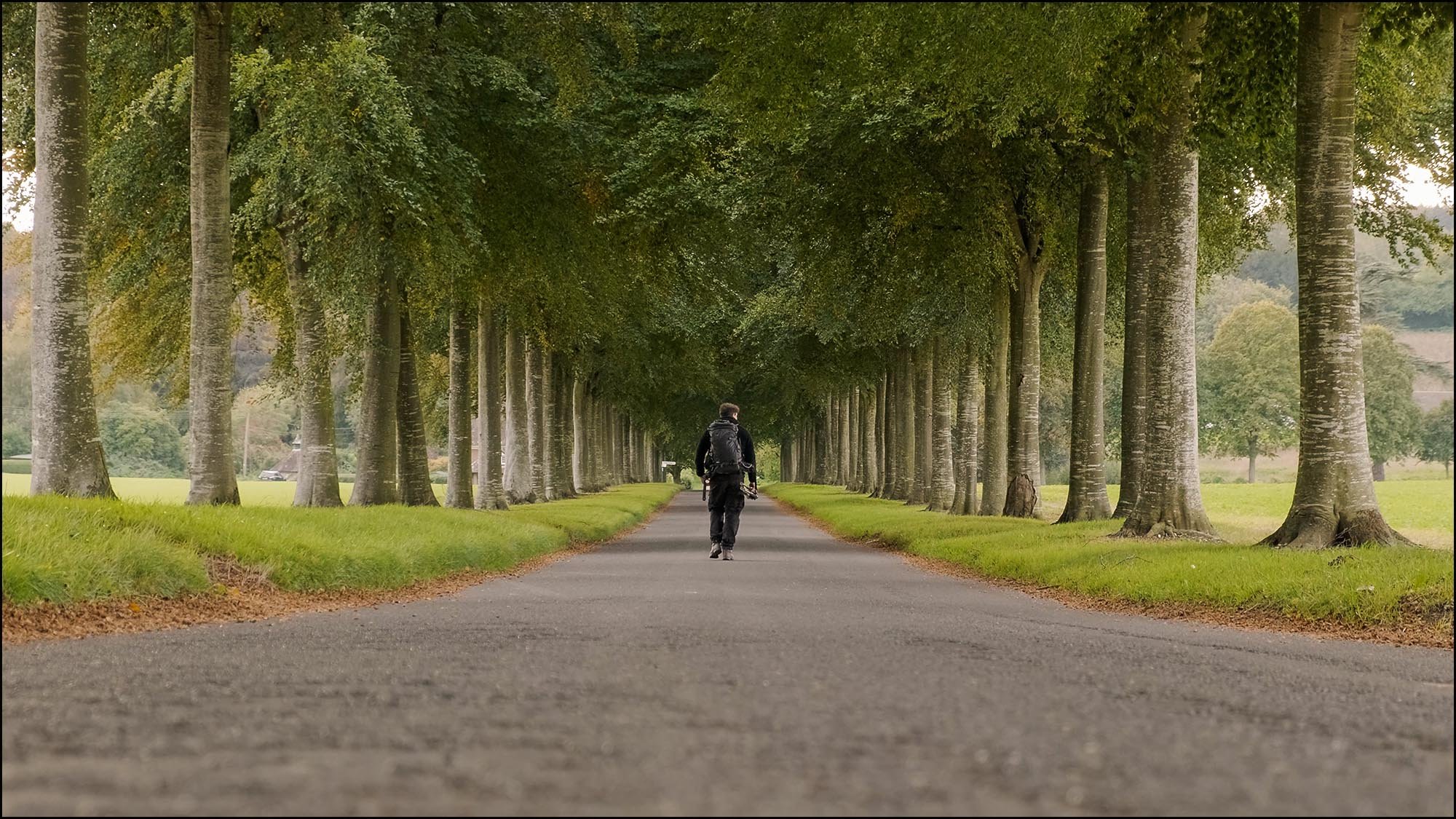 Man walking down road with trees either side