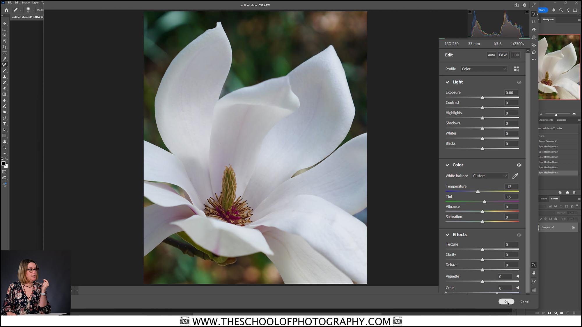 Magnolia flower close-up photo edited in Adobe Camera Raw during online photography course lesson