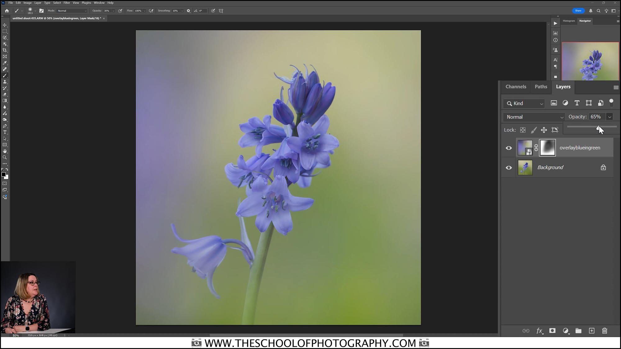 Photoshop editing lesson showing how to enhance a bluebell macro photo with background colour overlays