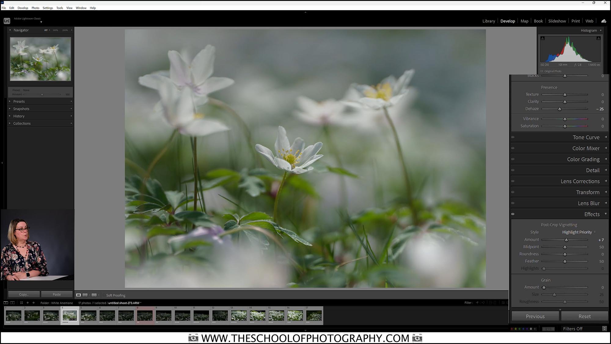 Lightroom editing lesson on enhancing wood anemone flower photography with adjustments to clarity and vignetting