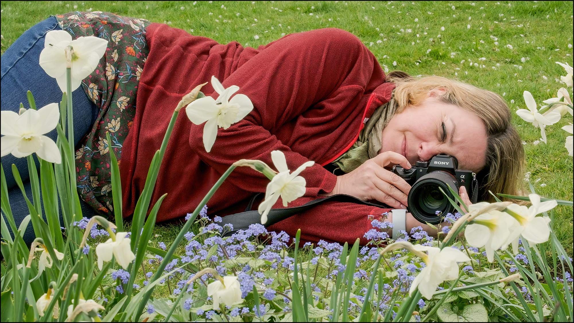 Photographer lying on grass to capture close-up images of daffodils and forget-me-not flowers with a mirrorless camera