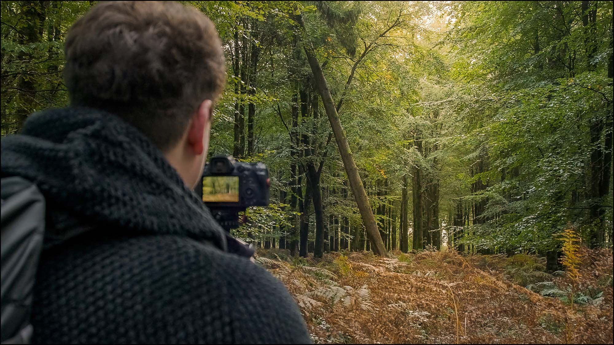 Photographer taking picture in forest