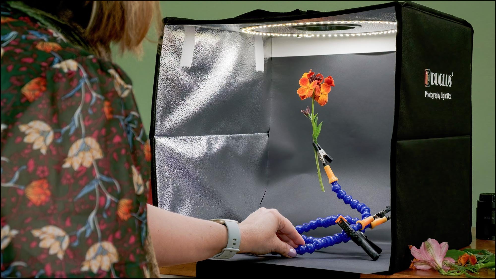 Molly moving a flower on a clamp into a photography light box