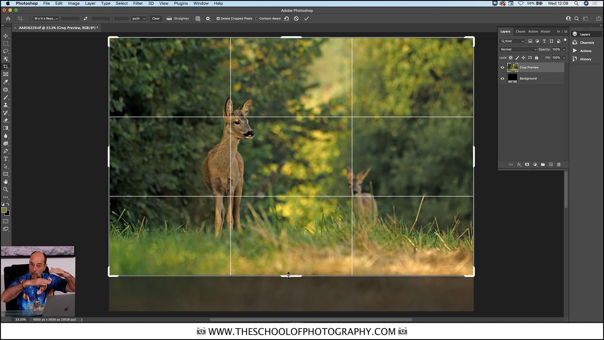 Computer screen capture of Photoshop with deer in field