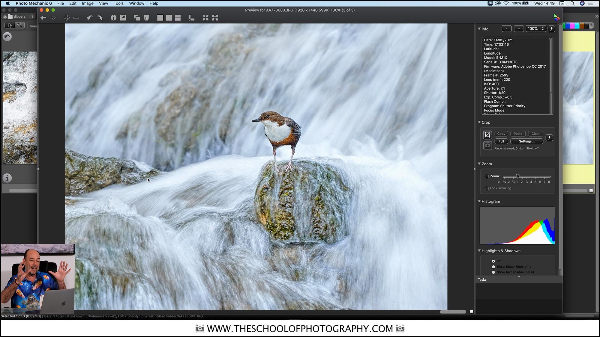 Computer screen of Photoshop with bird in front of water